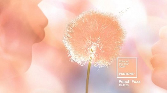 Pantone anuncia a cor do ano de 2024.